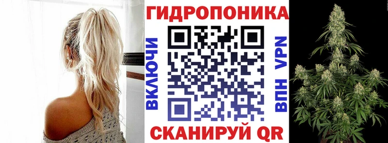 OMG   Цоци-Юрт  Шишки марихуана Bruce Banner 